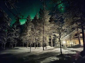 Lapland Lake Hideout with Modern Amenities and Activities